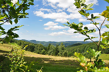 Landschaft im Thüringer Wald